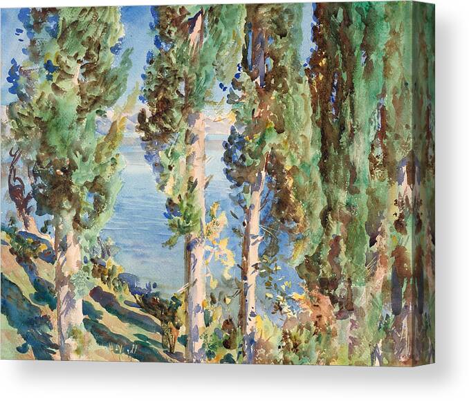 John Singer Sargent Canvas Print featuring the painting Corfu. Cypresses by John Singer Sargent