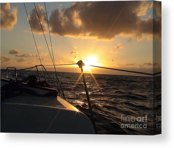 Sailboat Canvas Print featuring the photograph Cruising Life by Laura Wong-Rose