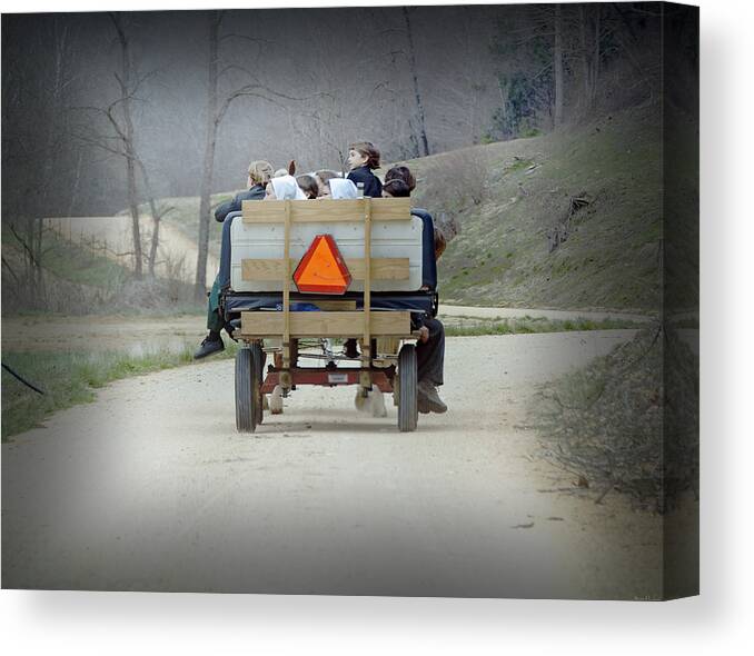 The Amish Canvas Print featuring the photograph Cruising by Steven Michael