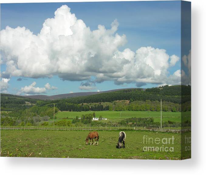 Cumulus Canvas Print featuring the photograph Cumulus Clouds in June by Phil Banks