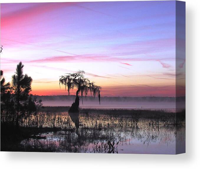 Landscape Canvas Print featuring the photograph Daybreak by Will Boutin Photos