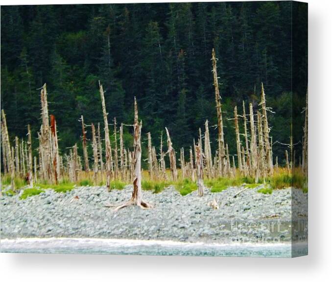 Dead Forest Canvas Print featuring the photograph Dead Forest Alaska by Brigitte Emme