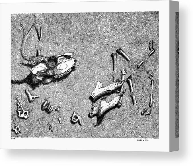 Nature Canvas Print featuring the drawing Deer Bones by Daniel Reed