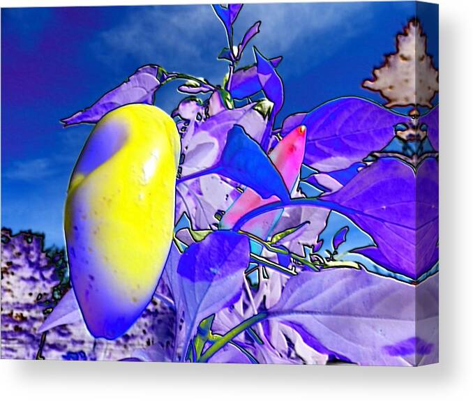 Delight Canvas Print featuring the digital art Delight by Mike Breau