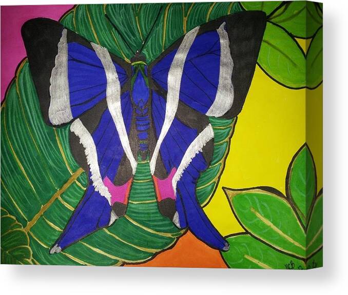 Butterfly Canvas Print featuring the drawing Descansando by Marcia Brownridge