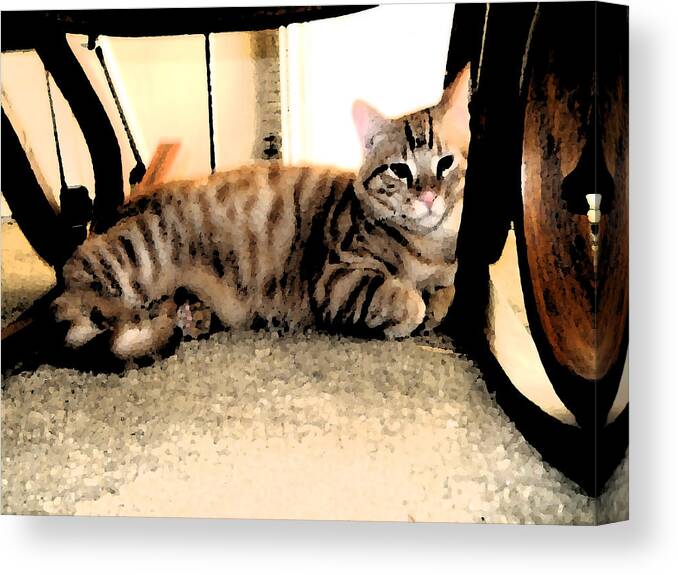 Cat Canvas Print featuring the digital art Digital Painting Of Ginger by Eric Forster