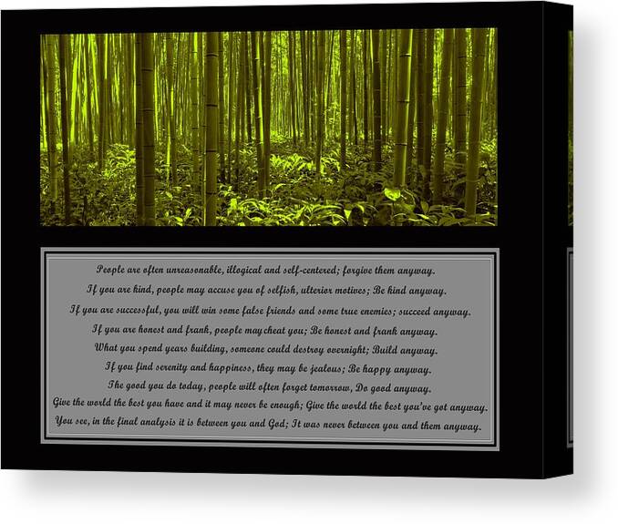 Mother Teresa Canvas Print featuring the photograph Do It Anyway Bamboo Forest by David Dehner