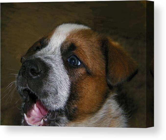 Dog Canvas Print featuring the photograph Doc Holliday The Pup by Dale Jackson
