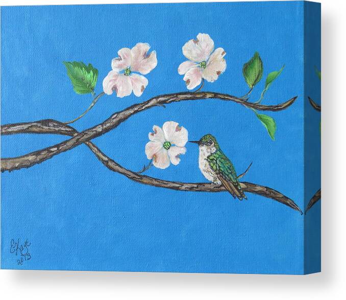 Dogwood Canvas Print featuring the painting Dogwood and Hummingbird by Ella Kaye Dickey