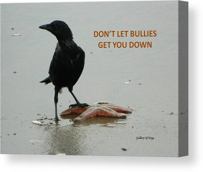 Crow Canvas Print featuring the photograph Don't Let Bullies Get You Down by Gallery Of Hope 