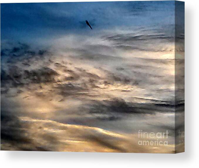 Sky Canvas Print featuring the photograph Dragonfly in the Sky by Tamara Michael