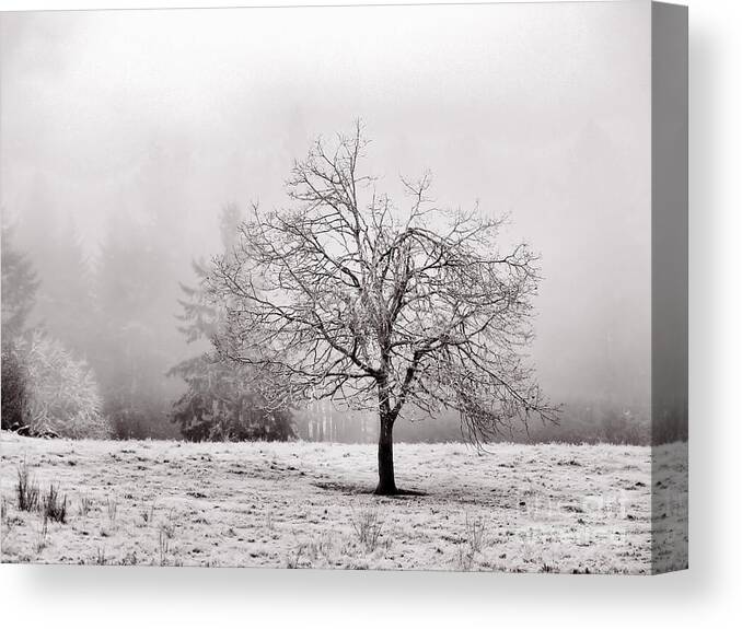 Landscape Canvas Print featuring the photograph Dreaming Of Life To Come by Rory Siegel