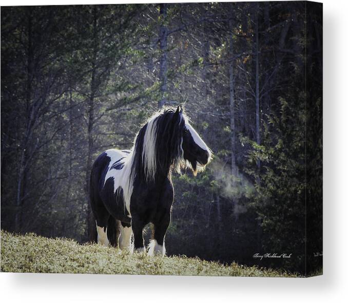 Horse Canvas Print featuring the photograph Dyson the Steel Town Boy by Terry Kirkland Cook