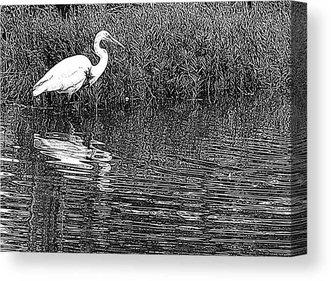Egret Canvas Print featuring the photograph Egret In The Thicket by Suzy Piatt