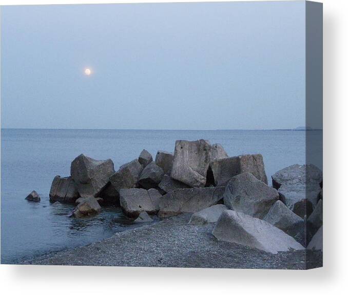 Nature Canvas Print featuring the photograph Elemental by Peggy King