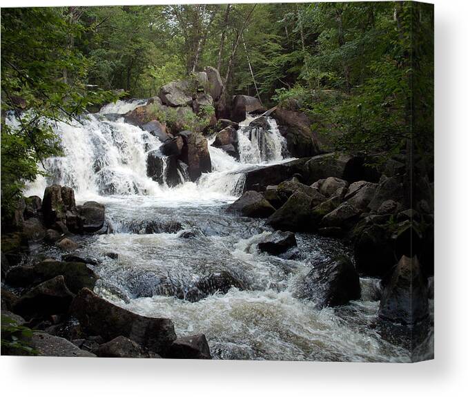 Waterfalls Canvas Print featuring the photograph Ellis Falls in Maine by Catherine Gagne