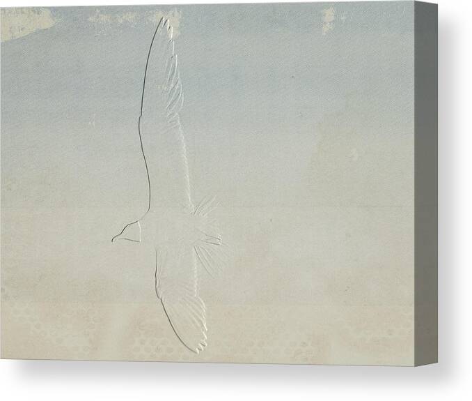Emboss Canvas Print featuring the photograph Embossed Gull by Dark Whimsy