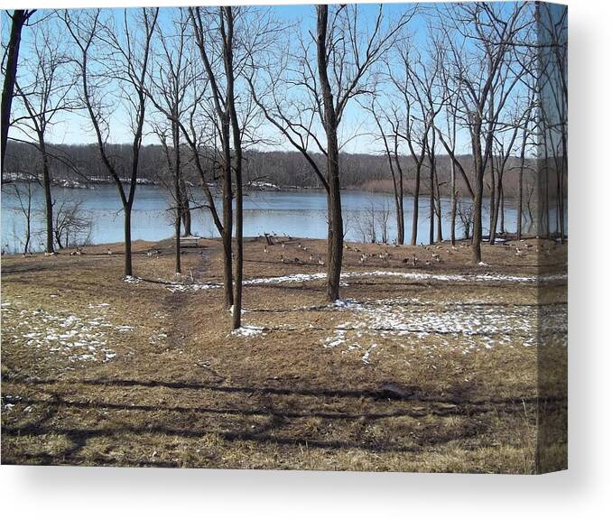 Water Canvas Print featuring the photograph Englewood Reserve With Water by Eric Switzer