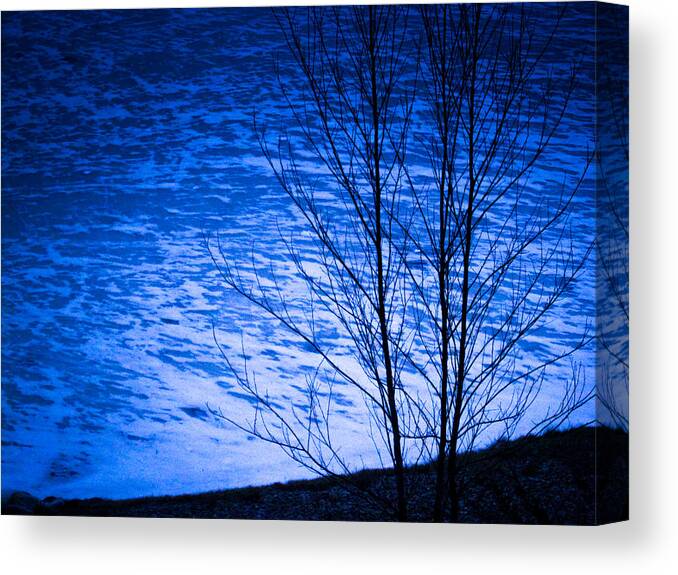 2014 Canvas Print featuring the photograph Evening Snow on an Icy Pond by George Harth