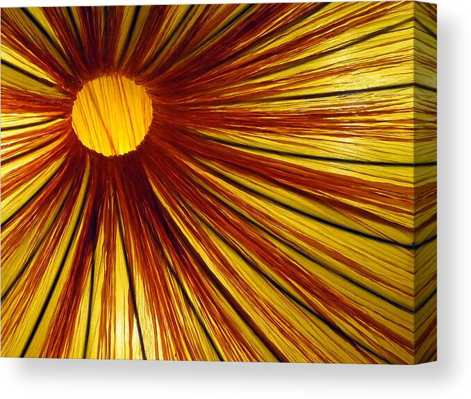 Abstract Canvas Print featuring the photograph Exploding Sun by Rick Locke - Out of the Corner of My Eye