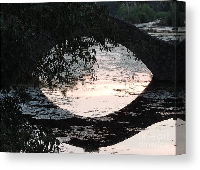 Nature Photos Canvas Print featuring the photograph Eye See Colors Of A Lagoon At City Park In New Orleans Louisiana by Michael Hoard