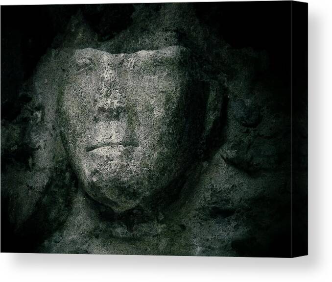 Rock Of Cashel Canvas Print featuring the photograph Face of Stone by Nadalyn Larsen