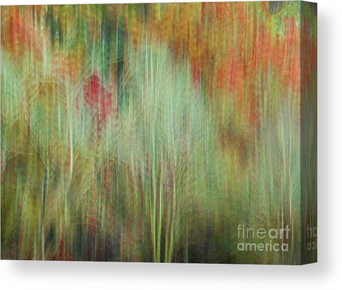 Art Prints Canvas Print featuring the photograph Fall Color Abstract 2 by Dave Bosse