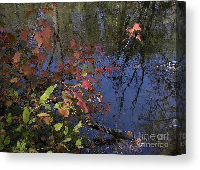 Fall Canvas Print featuring the photograph Fall Reflection by Mark Messenger