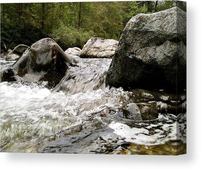 Outdoors Canvas Print featuring the photograph Falling for You by Andrew Stoffel