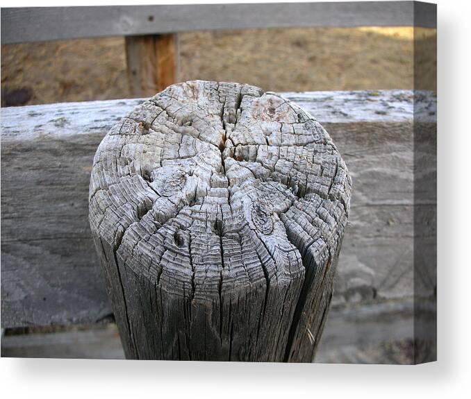 Farm Canvas Print featuring the photograph Farm Post by Roxy Hurtubise