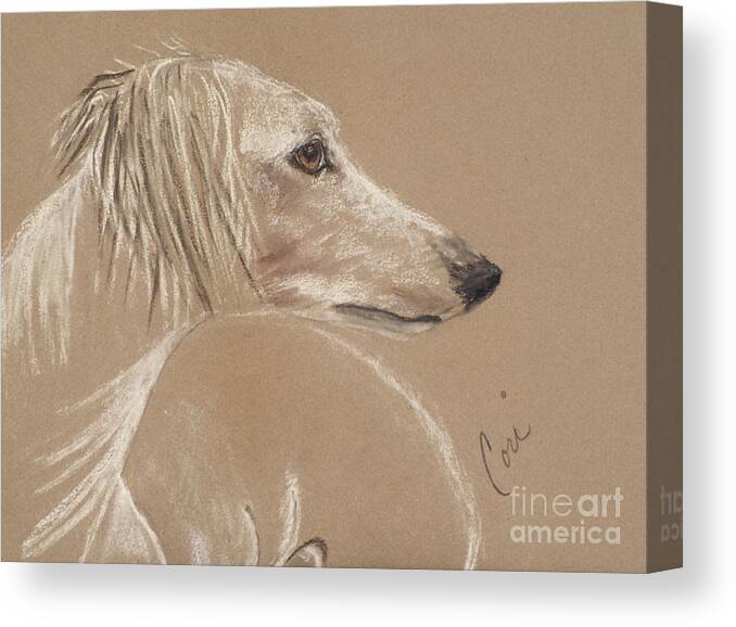 Saluki Canvas Print featuring the drawing Feathered Scrutiny by Cori Solomon