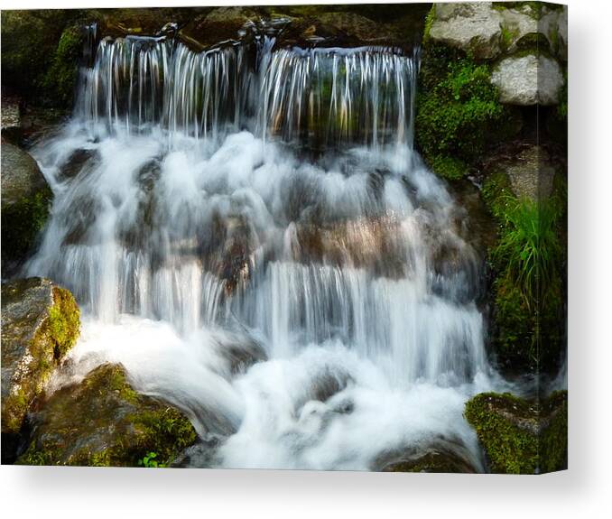 Fern Canvas Print featuring the photograph Fern Spring Yosemite by Jeff Lowe