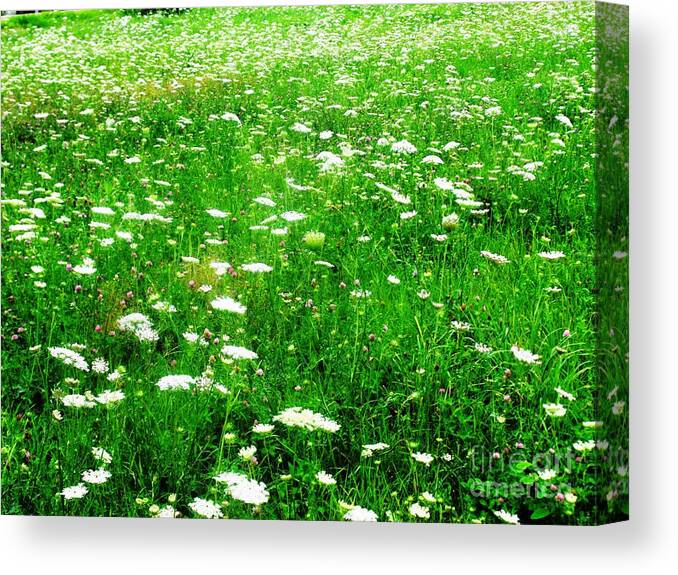 Field Of Flowers Canvas Print featuring the photograph Field of Flowers by Lisa Gifford