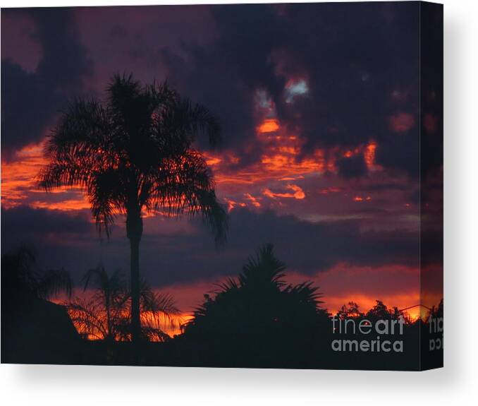 Fiery Sunset In Florida Canvas Print featuring the photograph Fiery Sunset in Florida by Robert Birkenes