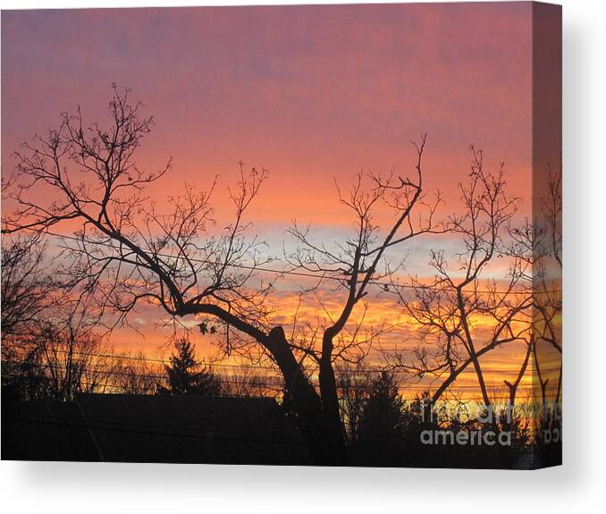 Fire Canvas Print featuring the photograph Fire in the Sky 1 by Tara Shalton
