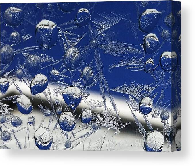 Frost Canvas Print featuring the photograph First Frost by Robert ONeil