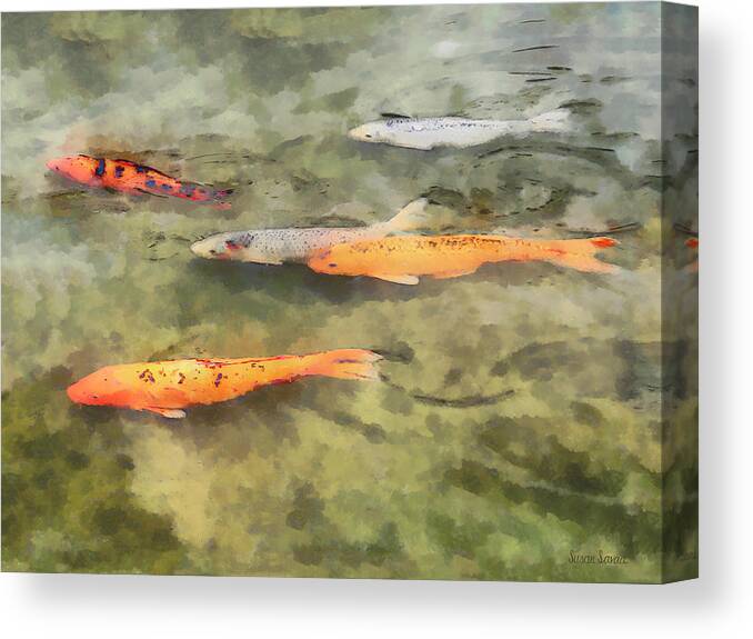 Koi Canvas Print featuring the photograph Fish - School of Koi by Susan Savad