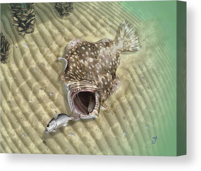Flounder Canvas Print featuring the digital art Fisherman's Post Flounder by Hayden Hammond