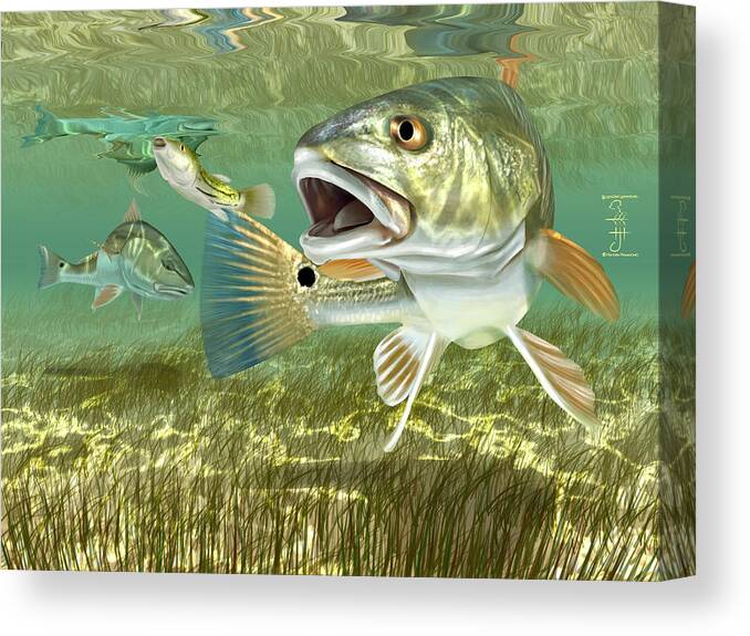 Redfish Canvas Print featuring the digital art Fisherman's Post Redfish by Hayden Hammond