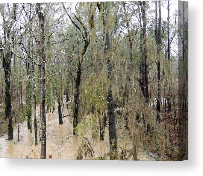 Dry Creek Canvas Print featuring the photograph Flooding Dry Creek by Kim Pate