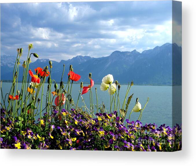 Alps Canvas Print featuring the photograph Floral Coast by Amanda Mohler