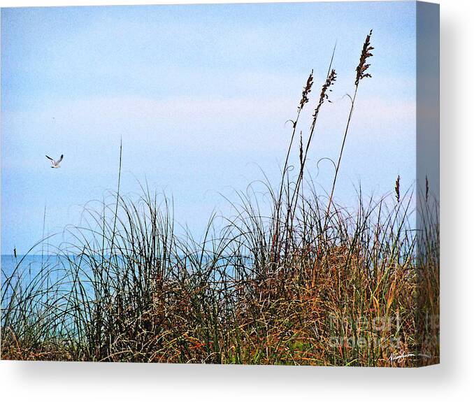 Watercolor Canvas Print featuring the photograph Florida Dunes by Melissa Fae Sherbon