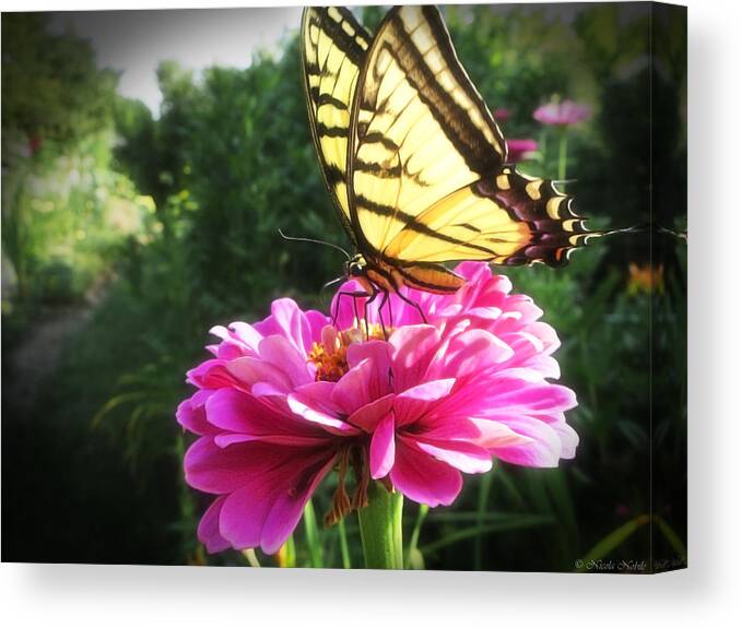 Butterfly Canvas Print featuring the photograph Flower and Butterfly by Nicola Nobile