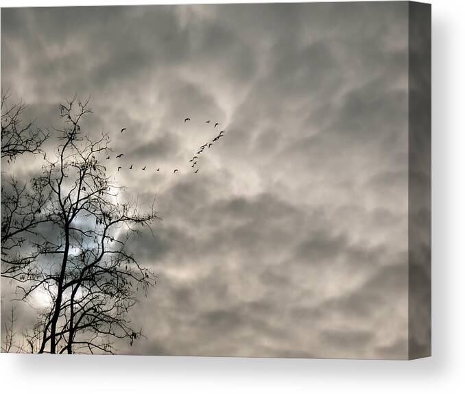 Grey Sky Canvas Print featuring the photograph Fly By by Azthet Photography