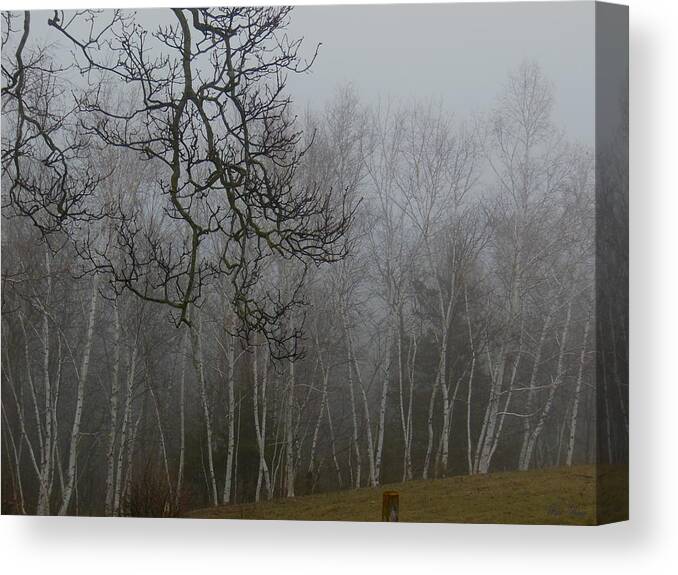 Mist Canvas Print featuring the photograph Foggy Forest by Wild Thing