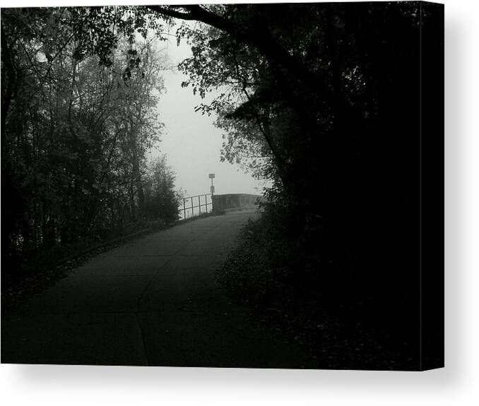 Mist Canvas Print featuring the photograph Follow Me by Wild Thing