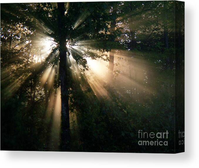 Forest Magic Canvas Print featuring the photograph Forest Magic by Joy Nichols