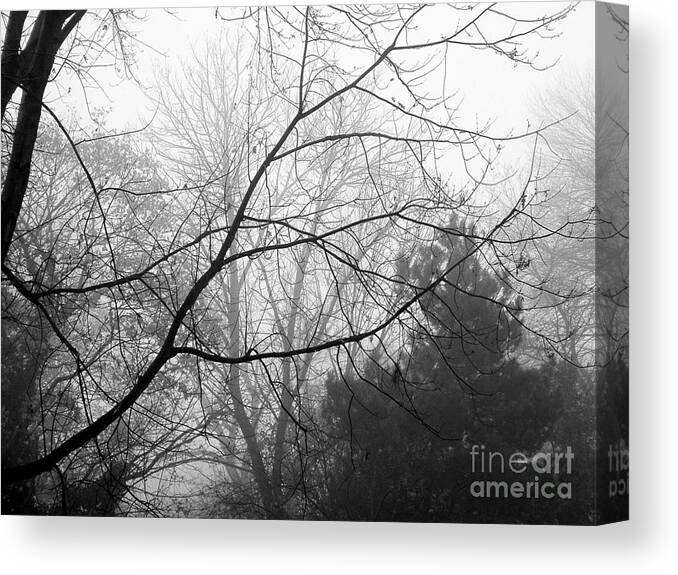 Fog Canvas Print featuring the photograph From Hence We Come by Robyn King