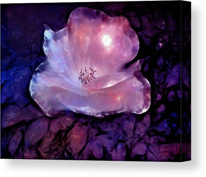 Rose Canvas Print featuring the digital art Frozen Rose by Lilia D