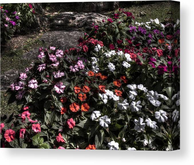 Landscape Canvas Print featuring the photograph Garden Color at Woodward Park 8f by John Straton